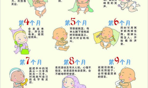 制鳖甲的炮制方法-制鳖甲的功效与作用禁忌网 | 制鳖甲的功效与作用禁忌是什么,制鳖甲与鳖甲有何不同