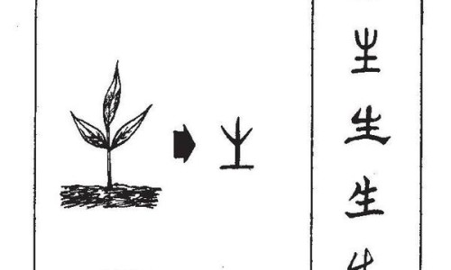 制鳖甲与鳖甲有何不同-制鳖甲的功效与作用禁忌网 | 制鳖甲的功效与作用禁忌是什么,制鳖甲与鳖甲有何不同